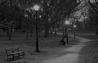 Man Sitting Alone in Park