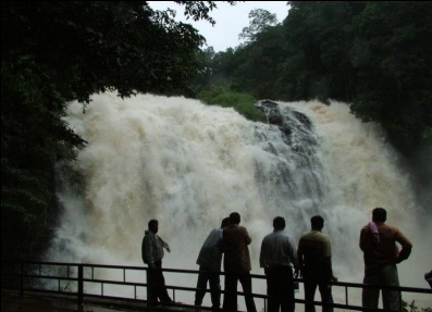 Abbey Falls - coorg