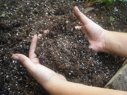 images-soil types